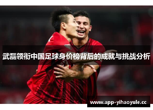 武磊领衔中国足球身价榜背后的成就与挑战分析