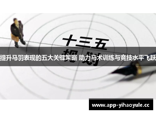提升马羽表现的五大关键策略 助力马术训练与竞技水平飞跃 提升马羽表现的五大关键策略 助力马术训练与竞技水平飞跃
