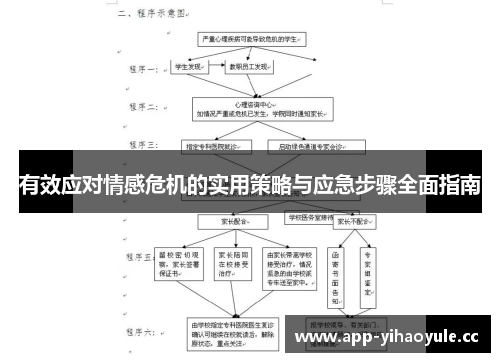 有效应对情感危机的实用策略与应急步骤全面指南