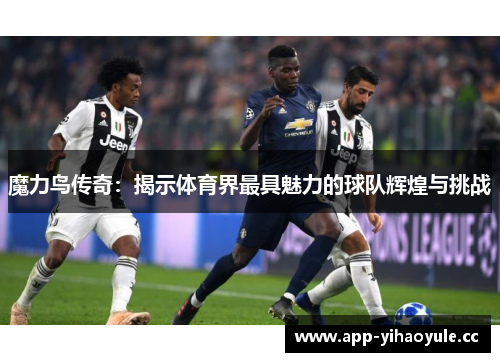 魔力鸟传奇：揭示体育界最具魅力的球队辉煌与挑战