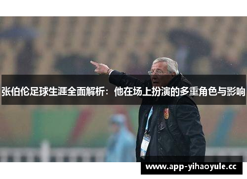 张伯伦足球生涯全面解析：他在场上扮演的多重角色与影响