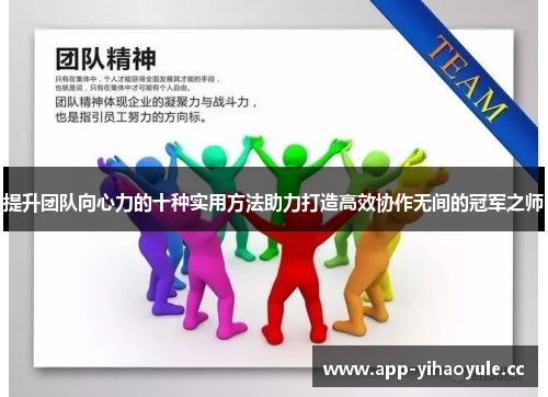 提升团队向心力的十种实用方法助力打造高效协作无间的冠军之师 提升团队向心力的十种实用方法助力打造高效协作无间的冠军之师