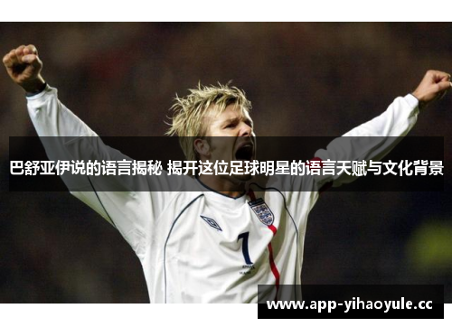 巴舒亚伊说的语言揭秘 揭开这位足球明星的语言天赋与文化背景