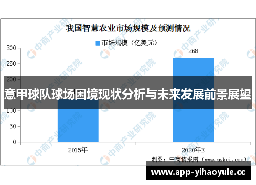 意甲球队球场困境现状分析与未来发展前景展望
