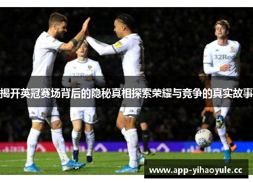揭开英冠赛场背后的隐秘真相探索荣耀与竞争的真实故事